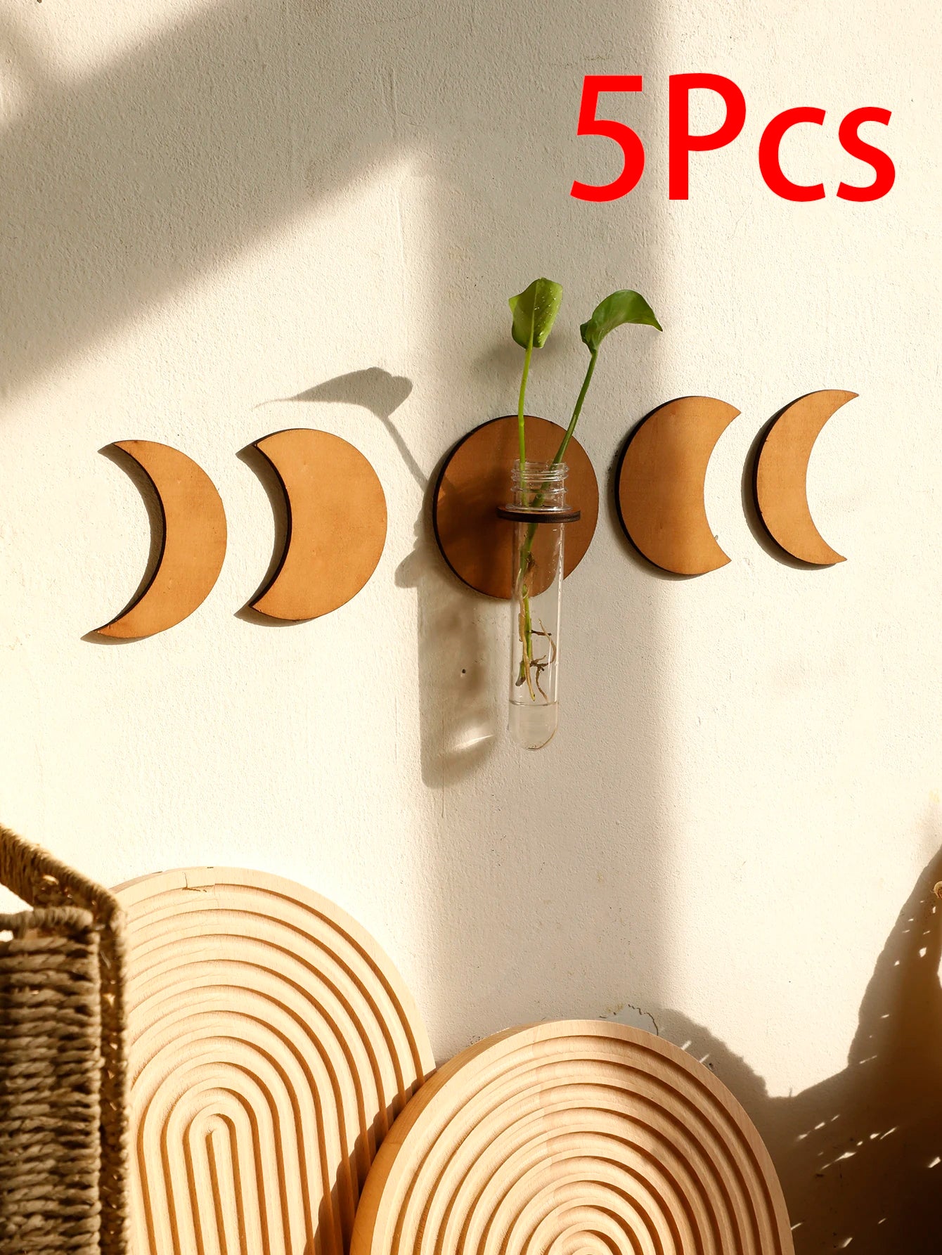 Moon Plant Propagation Station, Moon Phase Wall Hanging Terrarium Planter with Glass Tube, Wall Plant Holder for Propagate Hydroponics Air Plants, Wall Plants, Dried Flower Home Decor