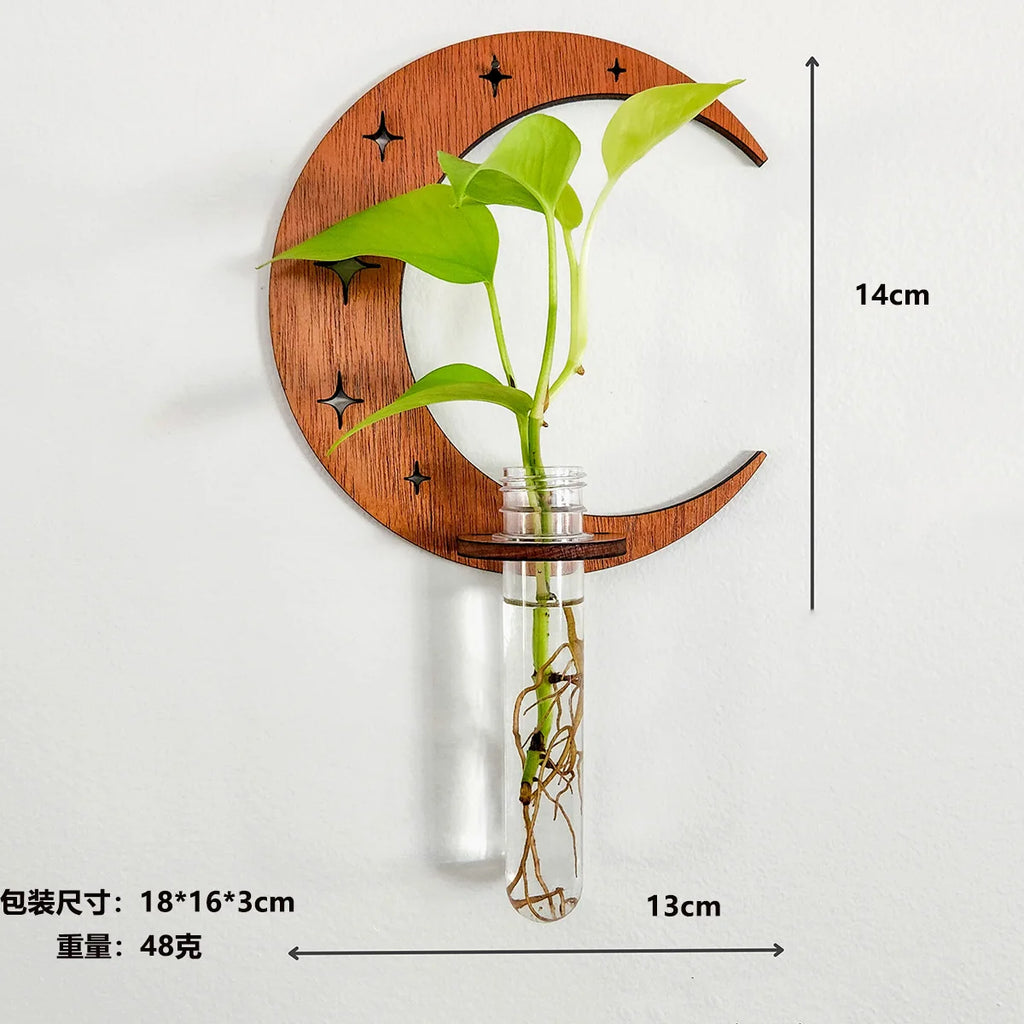 Moon Plant Propagation Station, Moon Phase Wall Hanging Terrarium Planter with Glass Tube, Wall Plant Holder for Propagate Hydroponics Air Plants, Wall Plants, Dried Flower Home Decor