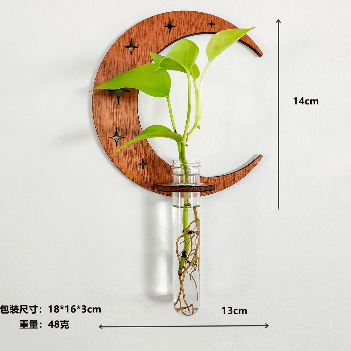 Moon Plant Propagation Station, Moon Phase Wall Hanging Terrarium Planter with Glass Tube, Wall Plant Holder for Propagate Hydroponics Air Plants, Wall Plants, Dried Flower Home Decor