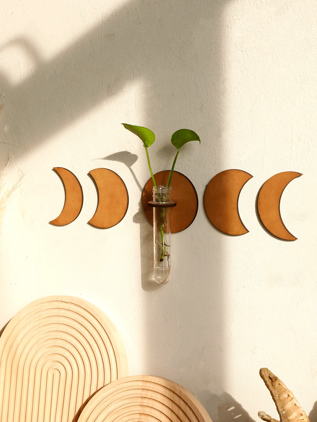 Moon Plant Propagation Station, Moon Phase Wall Hanging Terrarium Planter with Glass Tube, Wall Plant Holder for Propagate Hydroponics Air Plants, Wall Plants, Dried Flower Home Decor