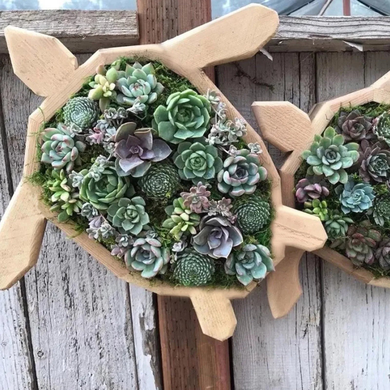 Animal Shape Succulents Wooden Flower Pots Turtle Bull Head Planter Clover Planter Horse Head Butterfly Pots Garden Accessories